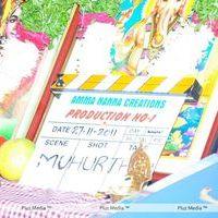 Amma Nanna Creations New Movie opening - Pictures | Picture 131834